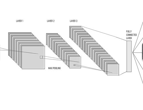 Convolutional neural networks in Zooarchaeology, for classifying bird specimens