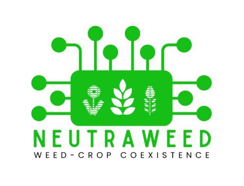 NEUTRAWEED: RIPENSARE LA GESTIONE DELLE INFESTANTI